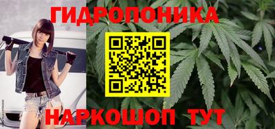 дживик Моздок
