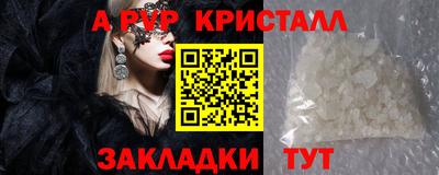 дживик Моздок
