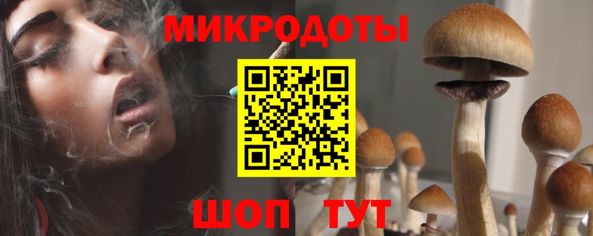 Галлюциногенные грибы Magic Shrooms Холмск